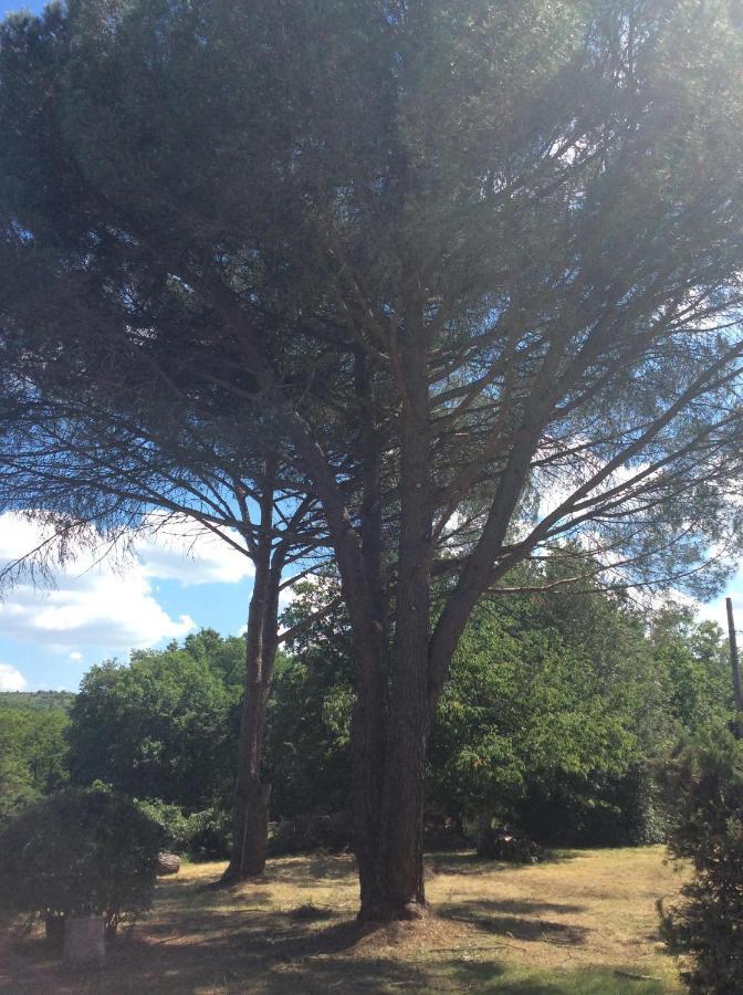 Le Jardin Du Moustoulac Chambres D'Hotes Cahors Ngoại thất bức ảnh