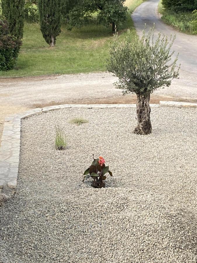 Le Jardin Du Moustoulac Chambres D'Hotes Cahors Ngoại thất bức ảnh